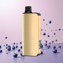 Alibarbar Ingot 9000 Puffs Engangs Vape Blåbær Smag med 22ml E-væske og 9000 Puffs