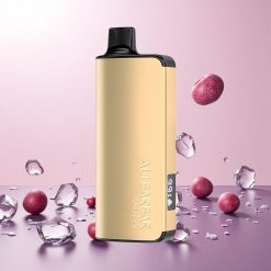 Alibarbar Ingot 9000 Puffs Engangs Vape Vinis Is 22ml E-væske kapacitet 2350mAh Batterikapacitet