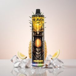 JNR Calavera 11000 Puffs Engangs Vape Ananas Is med 850 mAh Batteri og Type-C Opladning