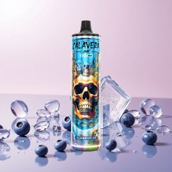 JNR Calavera 11000 Puffs Engangs Vape Blåbær Is med Type-C opladning og 850 mAh batteri