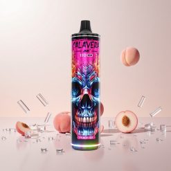 JNR Calavera 11000 Puffs Engangs Vape Fersken Is med 21ml E-Væske Kapacitet og Type-C Opladning