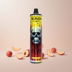 JNR Calavera 11000 Puffs Engangs Vape Fersken Mango med 21ml E-Væske og Type-C Opladning