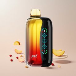 JNR Flex Ice 21000 Puffs Engangs Vape Fersken Mango Ananas Justerbar Is 26ml E-væske