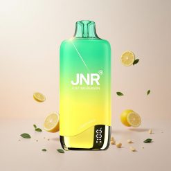 JNR Rainbow 10500 Puffs Engangs Ecigaret Citron Mynte 600mAh Batterikapacitet 18ml E-væske Tank