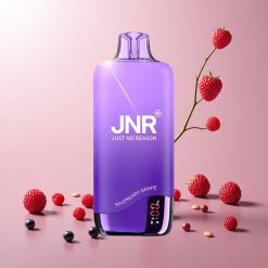 JNR Rainbow 10500 Puffs Engangs Vape Hindbær Drue 600mAh Batterikapacitet 10500 Puffs