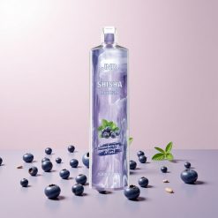 JNR Shisha Hookah 12000 Puffs Engangs Vape Blåbær Mynte (24ml, Type-C opladning)