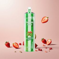 JNR Shisha Hookah 12000 Puffs Engangs Vape Jordbær Kiwi 24ml 750mAh