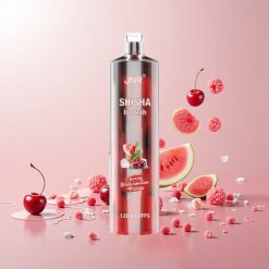 JNR Shisha Hookah 12000 Puffs engangs vape Kirsebær Vandmelon 750mAh 24ml