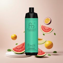 RandM Fumot Shisha 10000 Puffs Engangs Vandmelon Honningmelon Passionsfrugt Mynte LED-Indikator Type-C Port