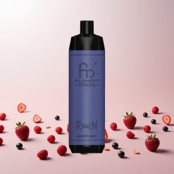 RandM Fumot Shisha 10000 Puffs Engangs Vape Bær Mynte LED-Indikator Type-C Port