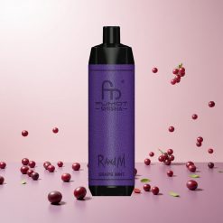 RandM Fumot Shisha 10000 Puffs Engangs Vape Drue Mynte LED-indikator Type-C Port