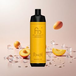 RandM Fumot Shisha 10000 Puffs Engangs Vape Mango Is LED-indikator Type-C-port