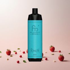 RandM Fumot Shisha 10000 Puffs Engangs Vape Mynte med 18ml E-væske og Type-C Port