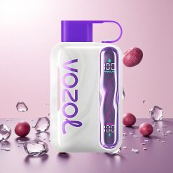 VOZOL STAR 40000 Puffs Engangs Vape Vinis Is med 1000mAh/Type-C VOZOL STAR 40000 Engangs Vape med 20/50mg/ml Nikotin