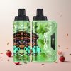 VapSolo VIKING 12000 Puffs Engangs Vape Frisk Mynte (22ml, Type-C)